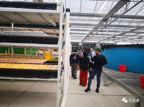 从引进来到走出去,农业无国界,与百源康工厂化鱼菜共生一起合作求共赢