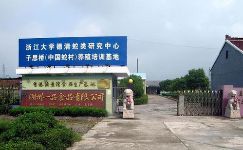 中国第一蛇村 150户人家养数百万条蛇,为何鲜有年轻人继承