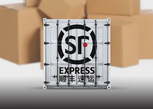 双十一 百万包裹如何送达 来看各大快递企业各施 神通
