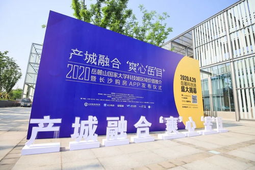 大干一百天看岳麓作为之项目篇