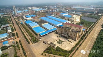 关注丨左公故里湘阴缘何引来 百凤飞翔 原因在这里